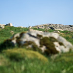 Garborg skuer ut over Jæren. Foto: Geir Ertzgaard